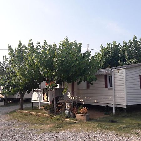 Camping Vila Village Sant Feliu de Buixalleu ภายนอก รูปภาพ