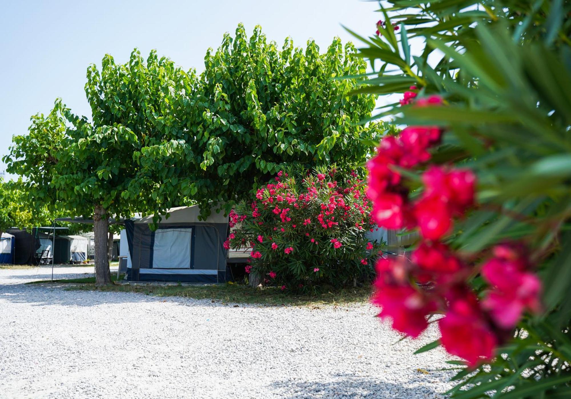 Camping Vila Village Sant Feliu de Buixalleu ภายนอก รูปภาพ